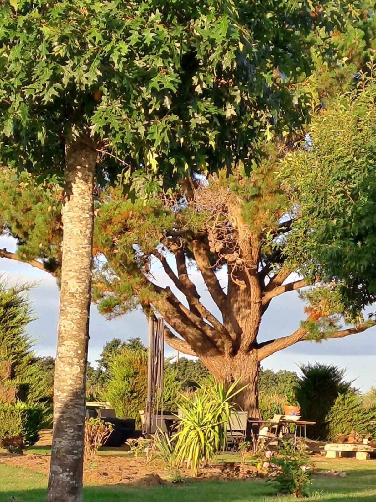Gite En Campagne Lamegritniere Dış mekan fotoğraf