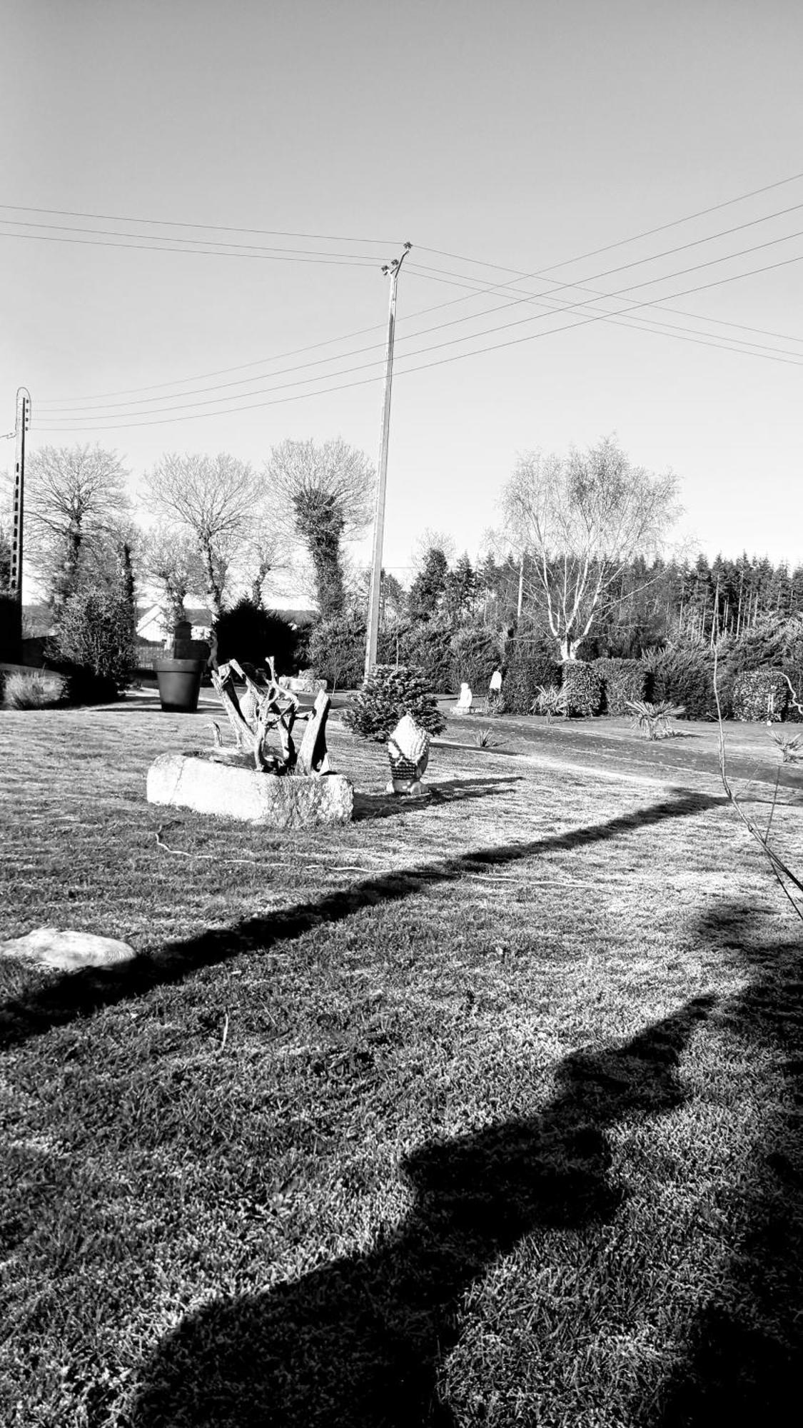 Gite En Campagne Lamegritniere Dış mekan fotoğraf