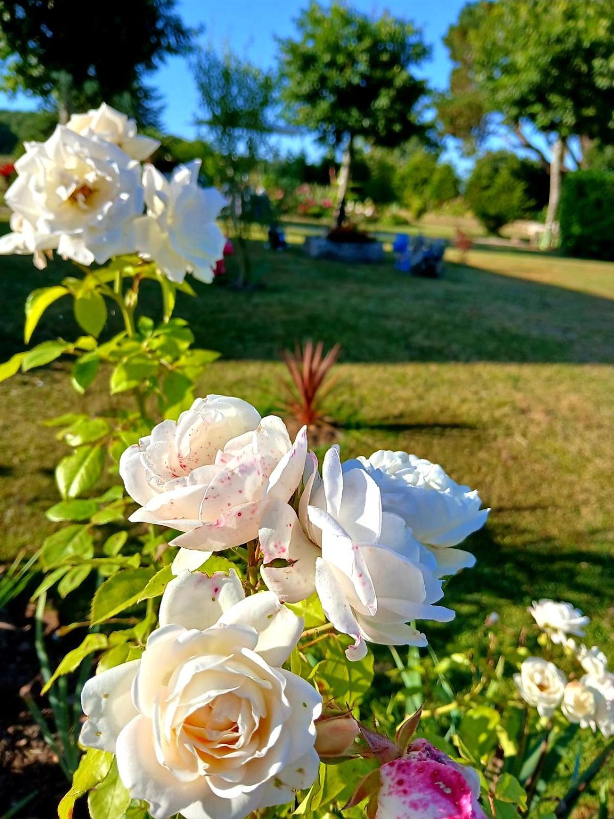Gite En Campagne Lamegritniere Dış mekan fotoğraf