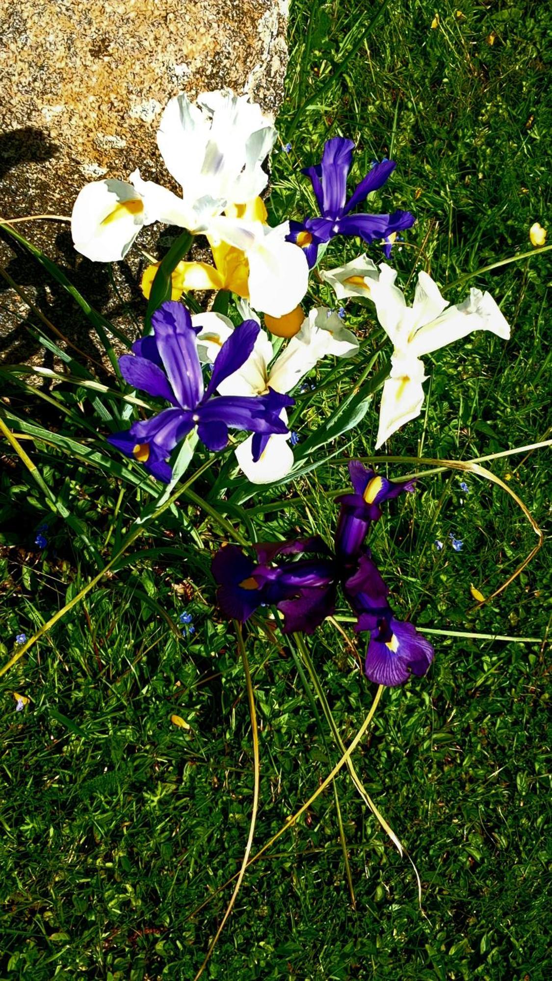 Gite En Campagne Lamegritniere Dış mekan fotoğraf