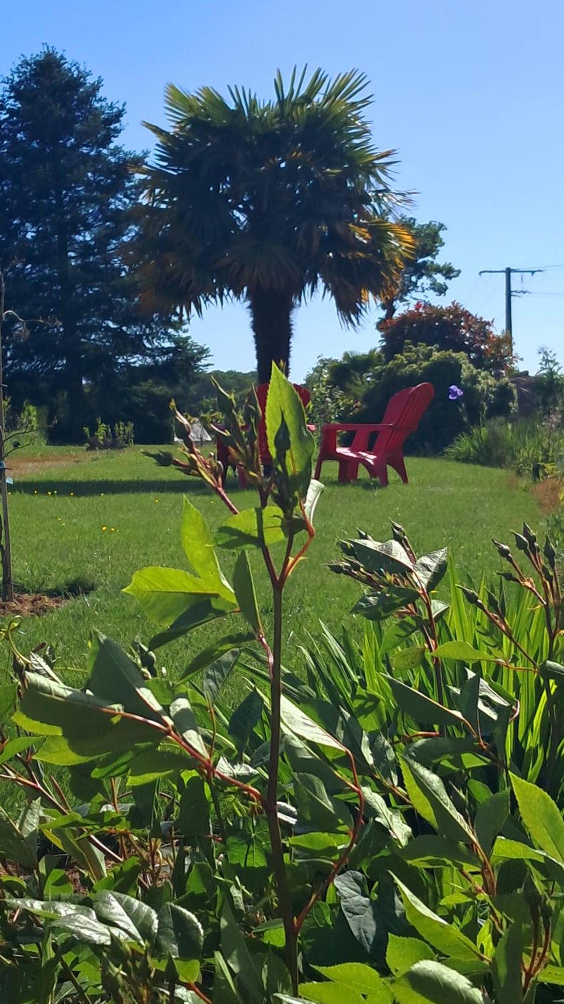 Gite En Campagne Lamegritniere Dış mekan fotoğraf
